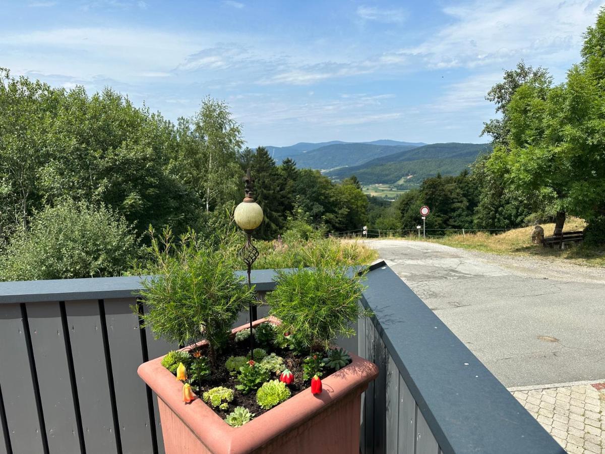 Modernes Top Apartment Mitten Im Bayerischen Wald + Wlan Kostenfrei Schöfweg Exterior foto